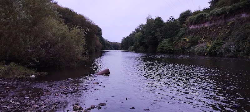 Drinkwater Park Nature reserve photo 3