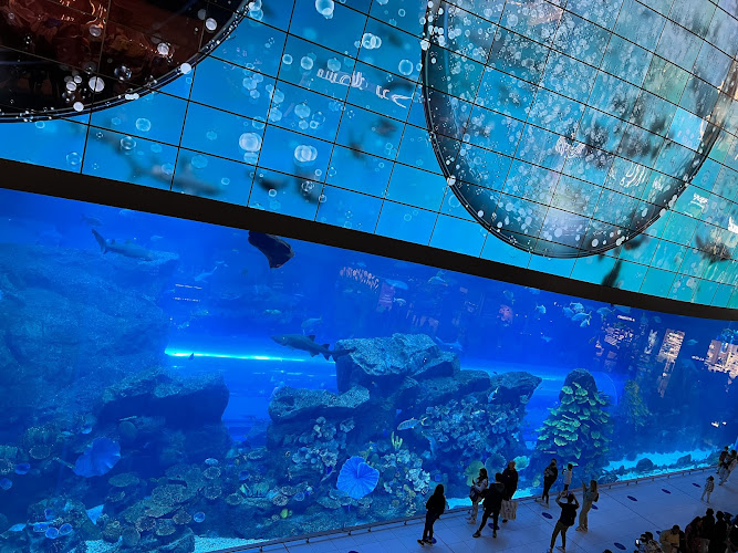 Dubai Aquarium & Underwater Zoo