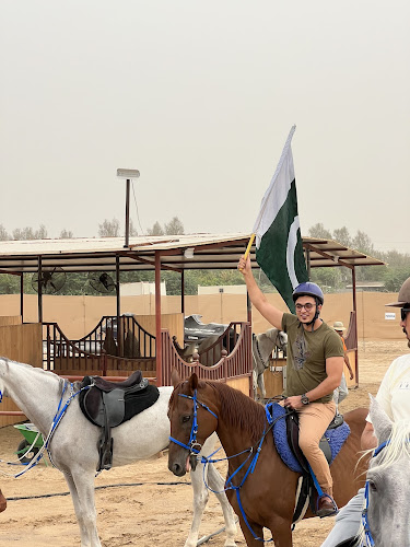Dubai desert horse ride experience