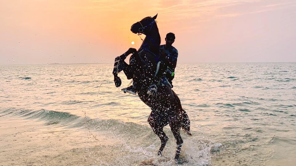 Dubai desert horse ride experience photo 2