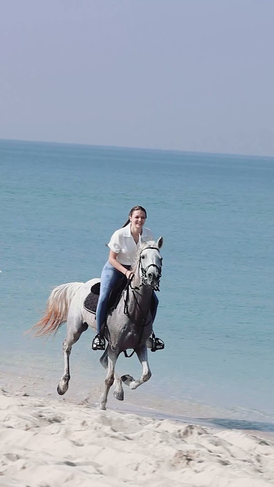 Dubai desert horse ride experience photo 3