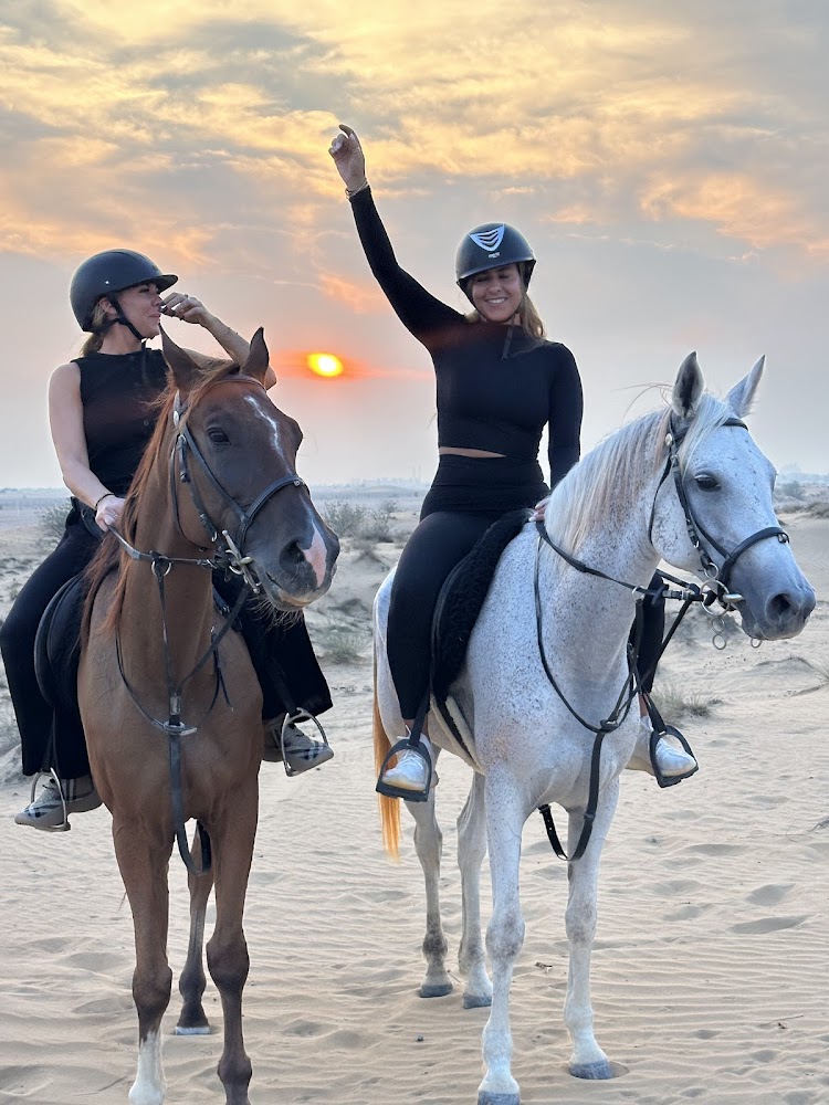 Dubai desert horse ride experience photo 5