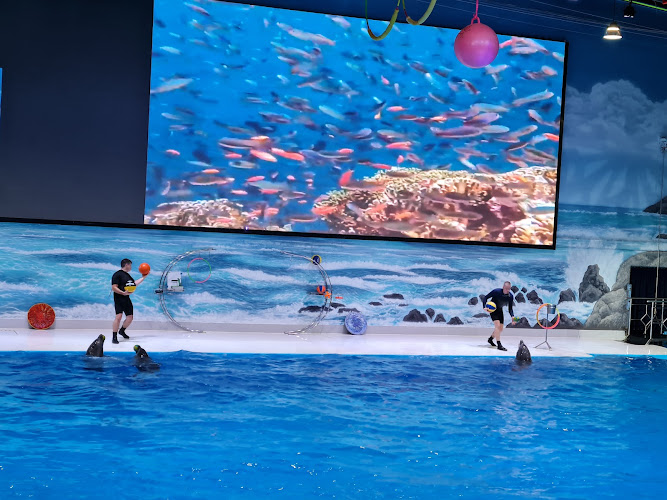 Dubai Dolphinarium