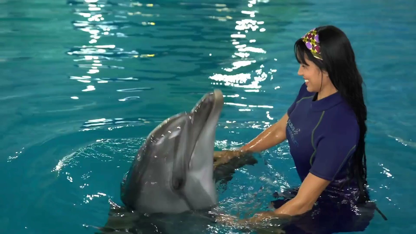 Dubai Dolphinarium photo 3