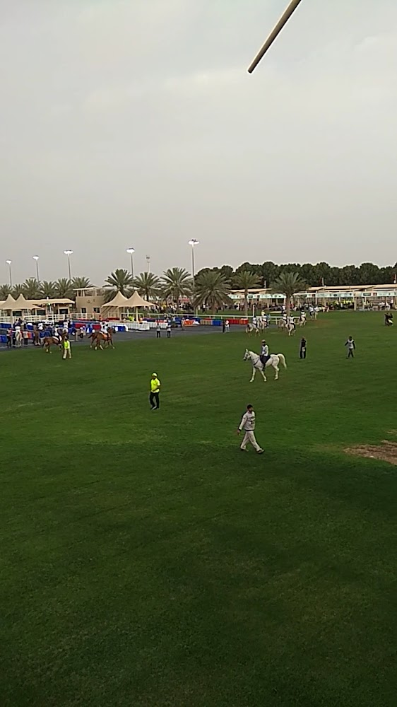 Dubai Equestrian Club photo 3