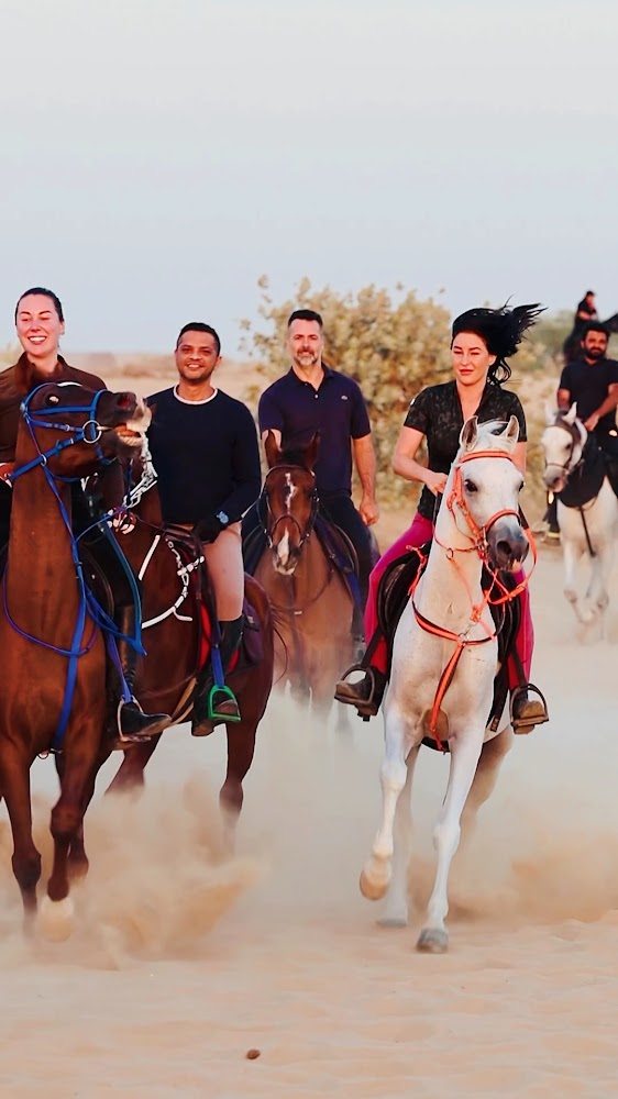 Dubai Horse Riding photo 3