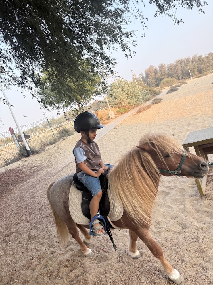 Dubai Horse Riding photo 5