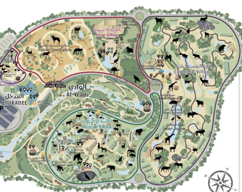 Dubai Safari Park photo 4