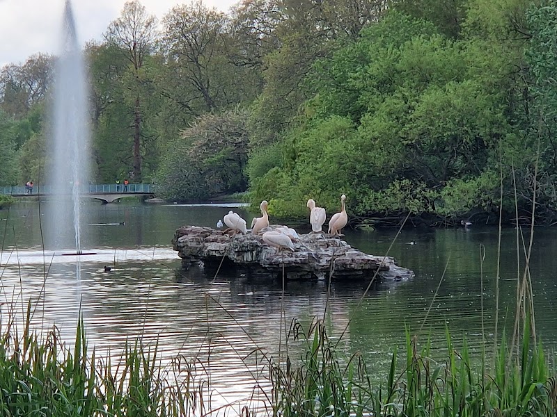 Duck Island photo 2