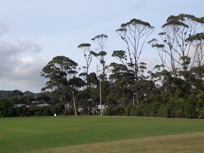 Duck Park
