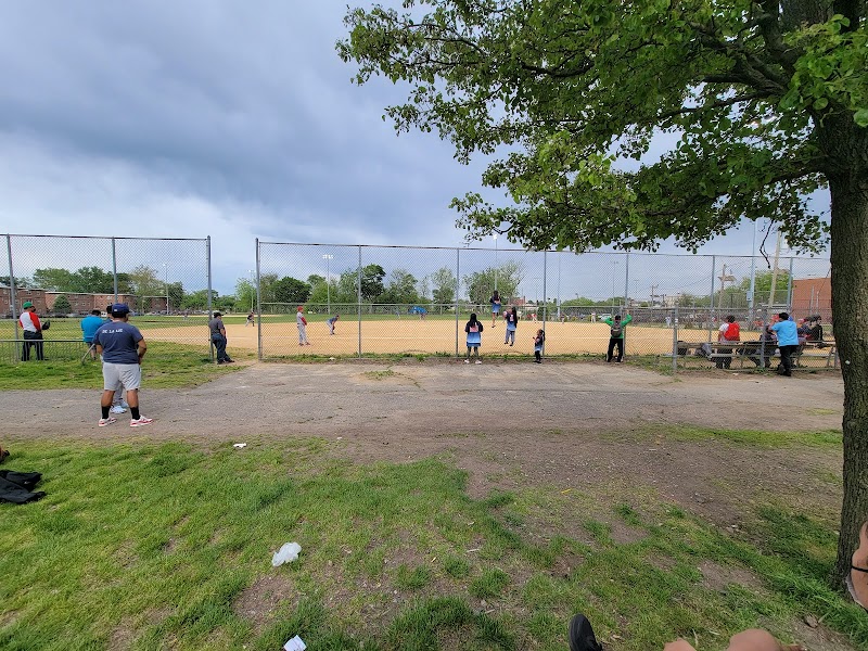 Dundee Island Park photo 2