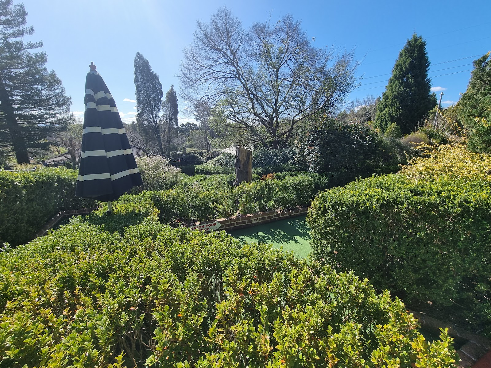 Dural Putt Putt in the Gardens photo 2