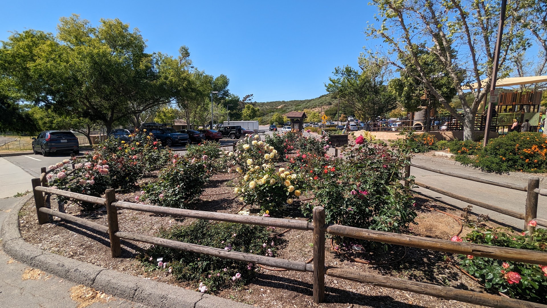 East Playground at Lake Poway photo 2
