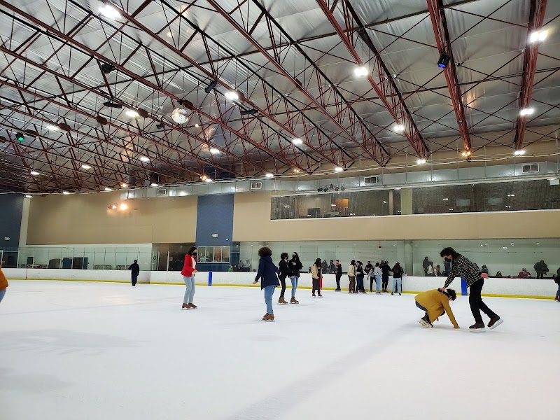 East West Ice Palace photo 2