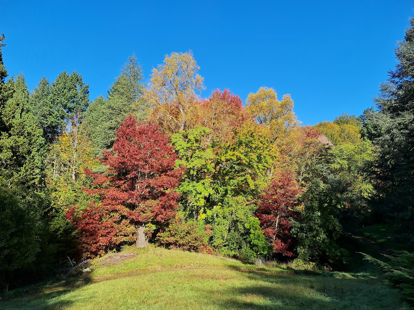 Eastwoodhill Arboretum