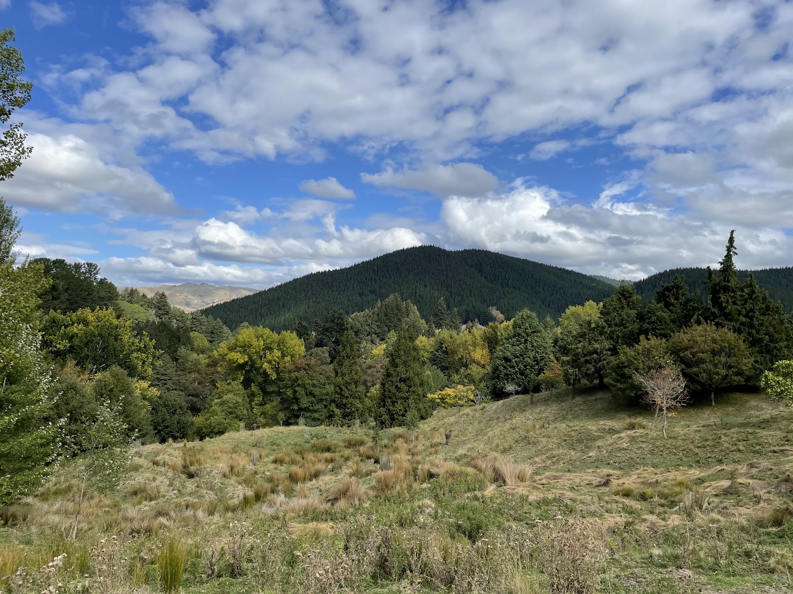 Eastwoodhill Arboretum photo 3