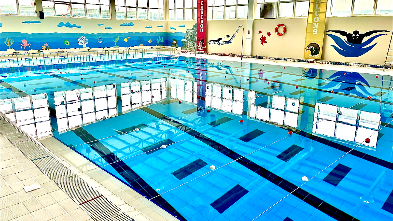 Easy Swim Academy photo 2