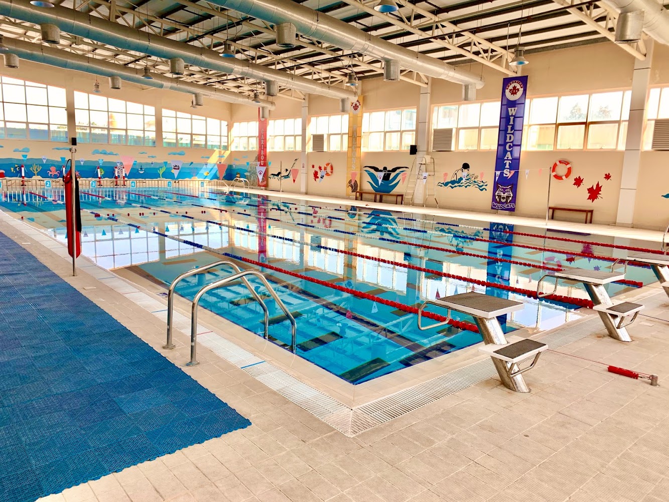 Easy Swim Academy photo 4