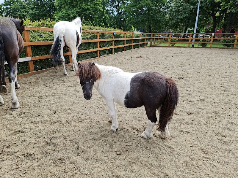 Ebony Horse Club photo 2