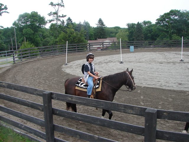 Echo Lake Stable photo 3