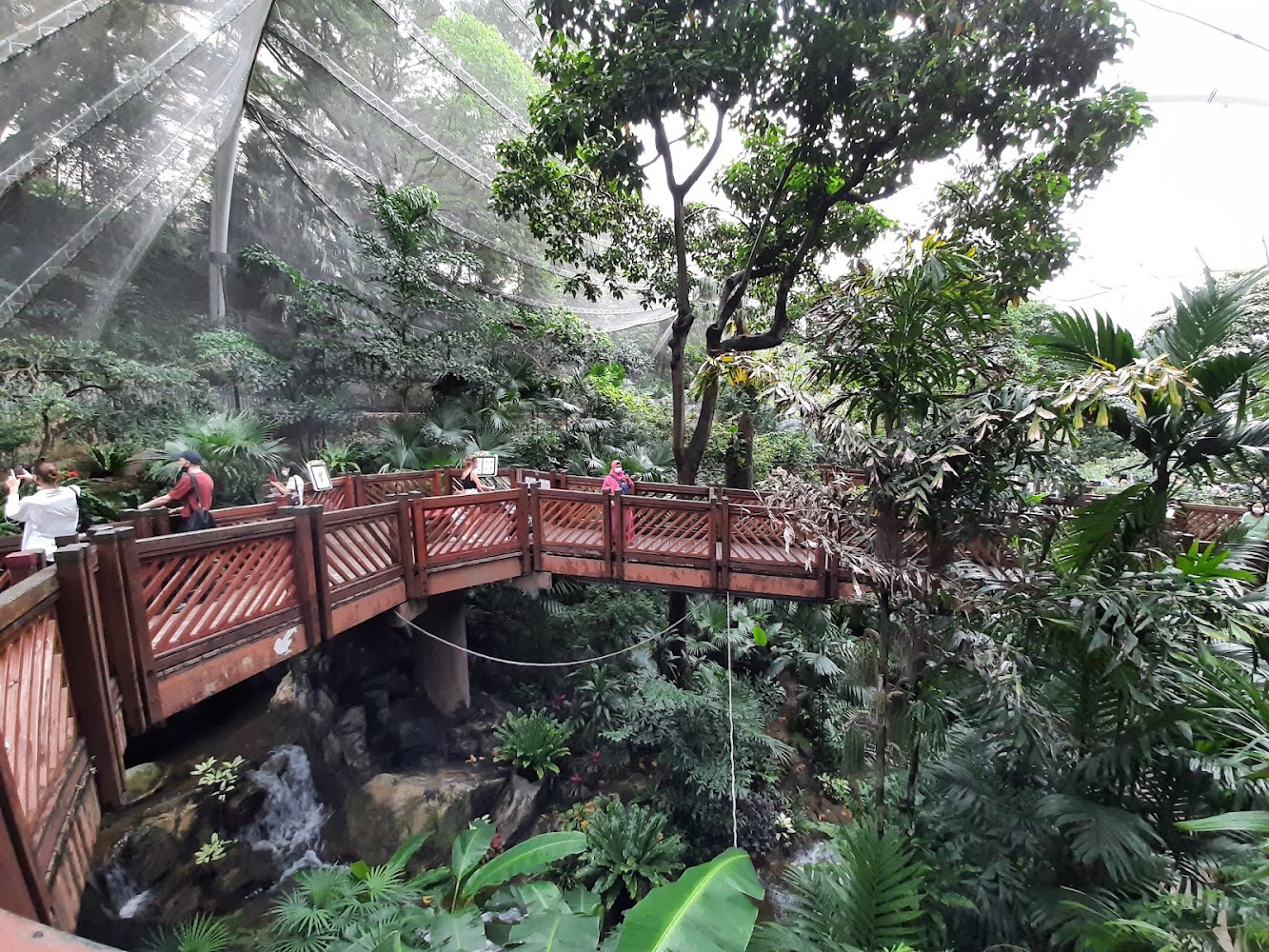 Edward Youde Aviary photo 2