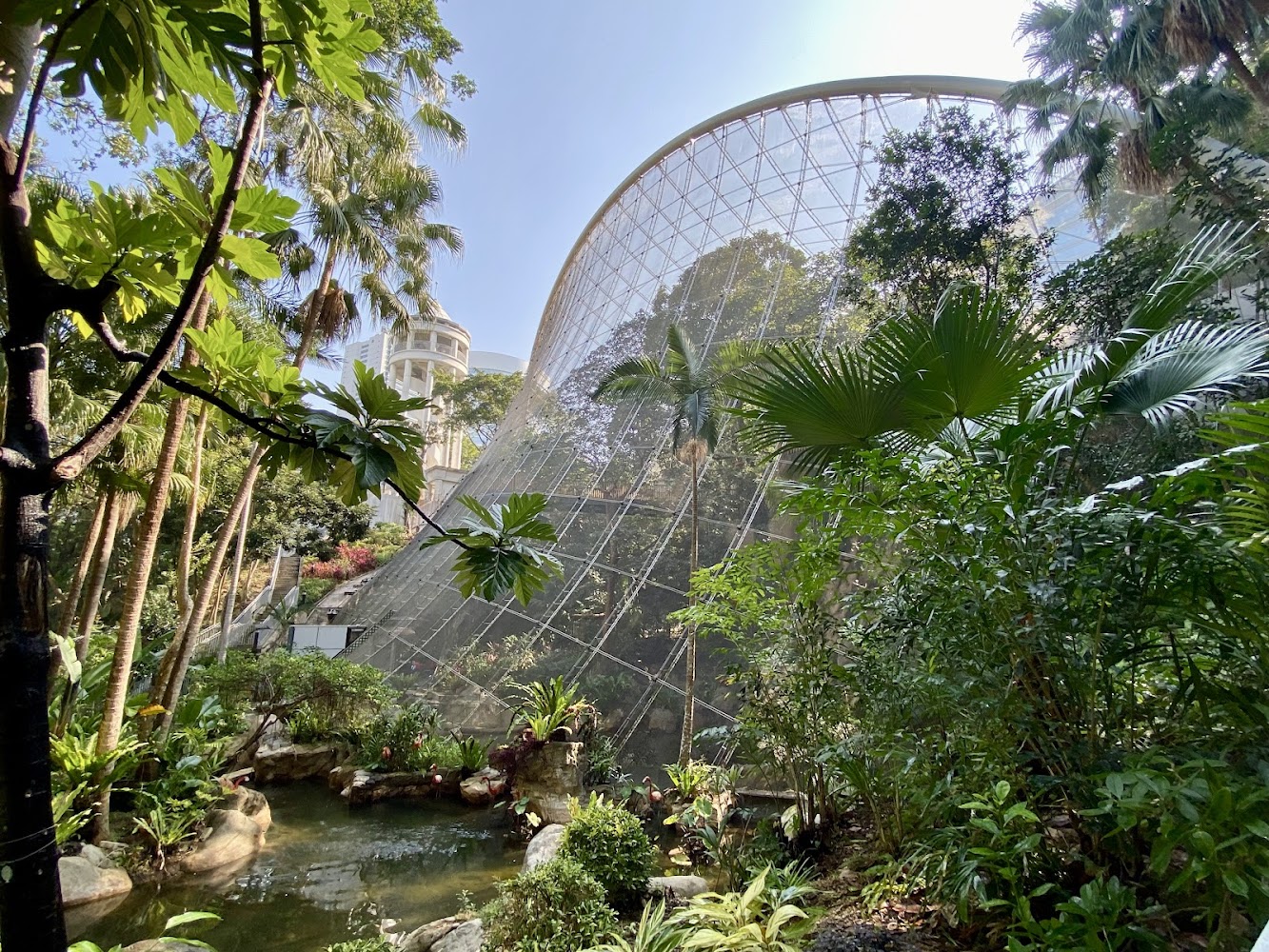 Edward Youde Aviary photo 4