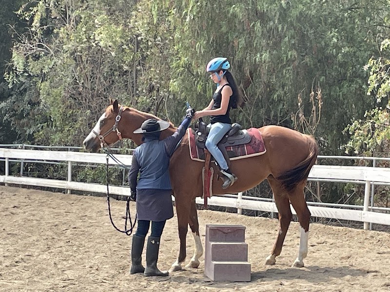 El Rodeo Equestrian Center
