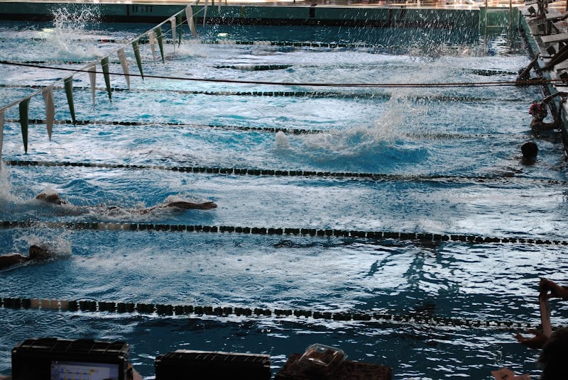 ELAC Swim Stadium photo 3
