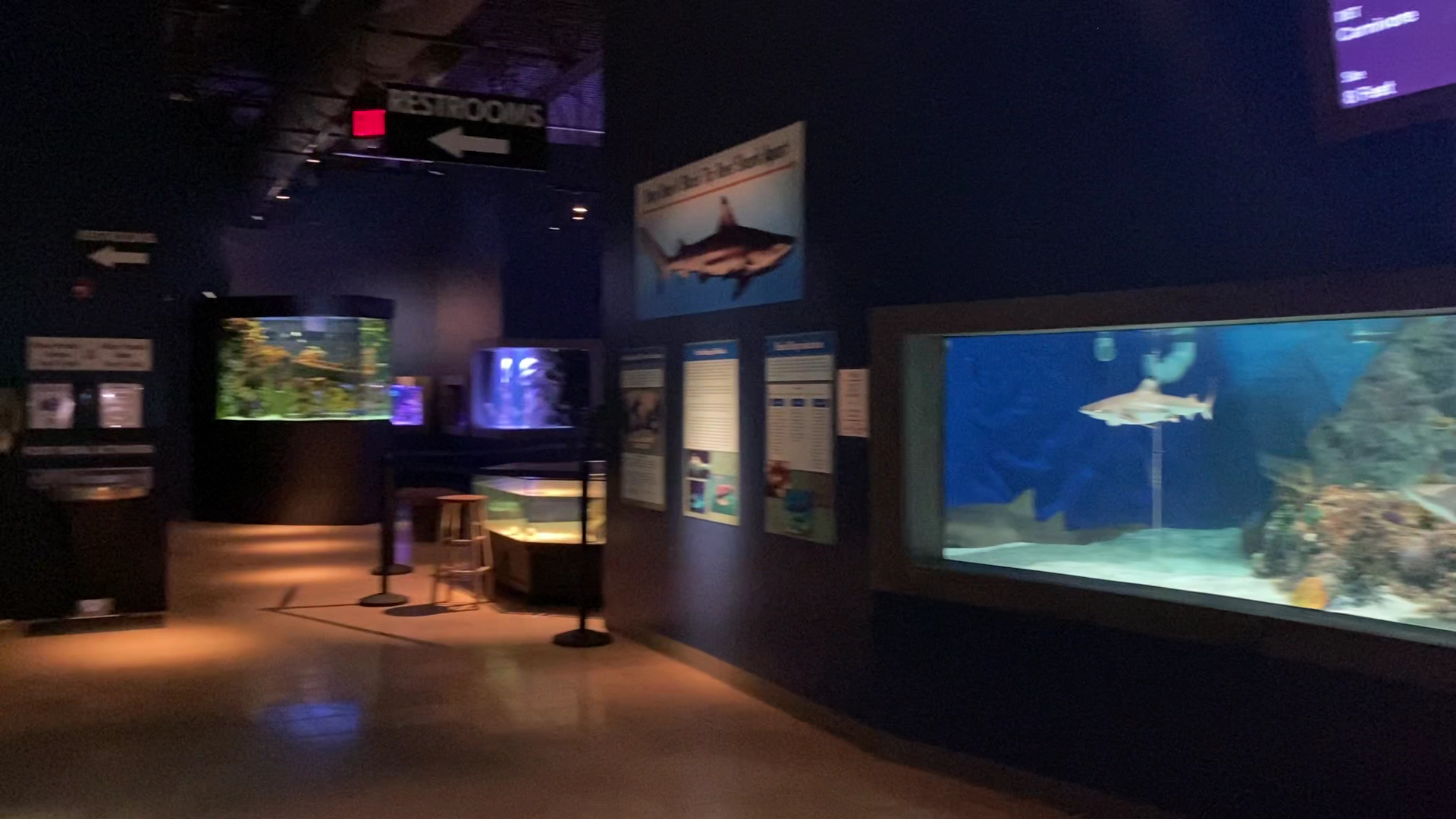 Electric City Aquarium & Reptile Den photo 2