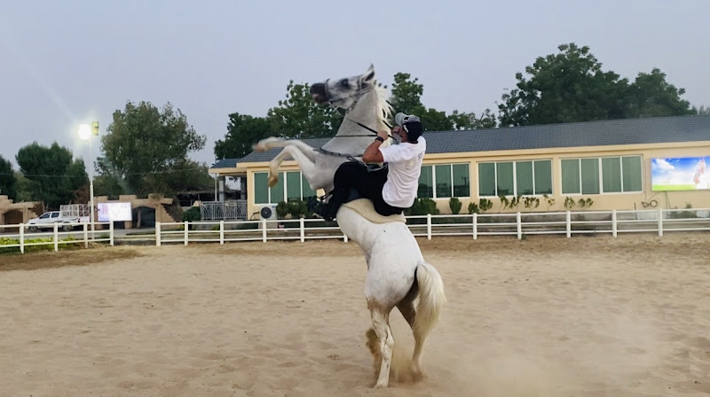 Elite equestrian club