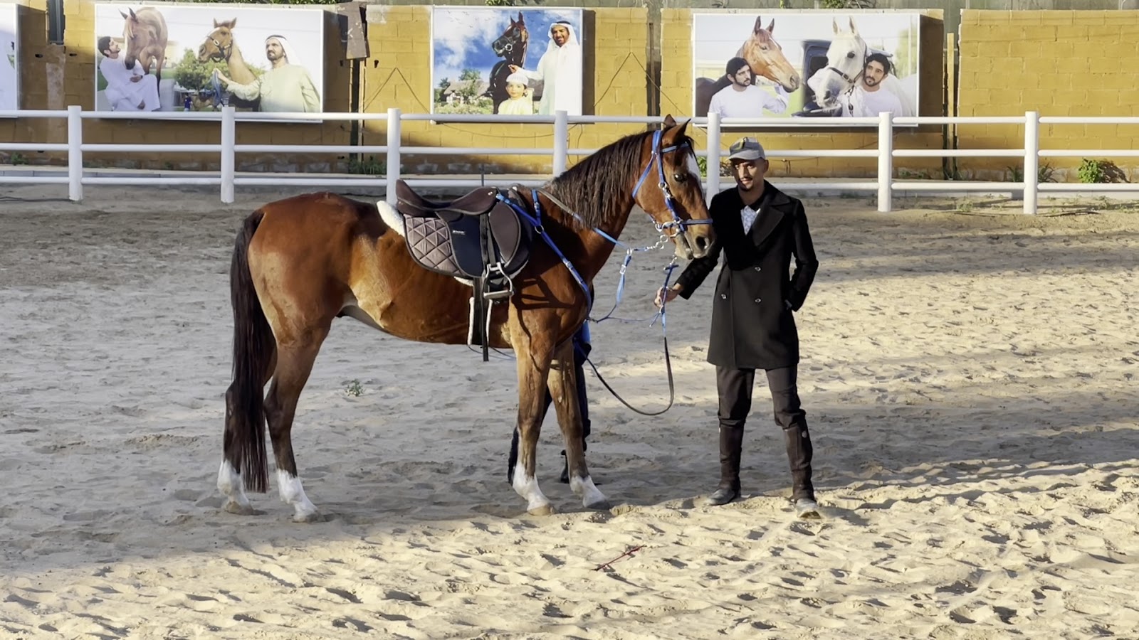 Elite equestrian club photo 3