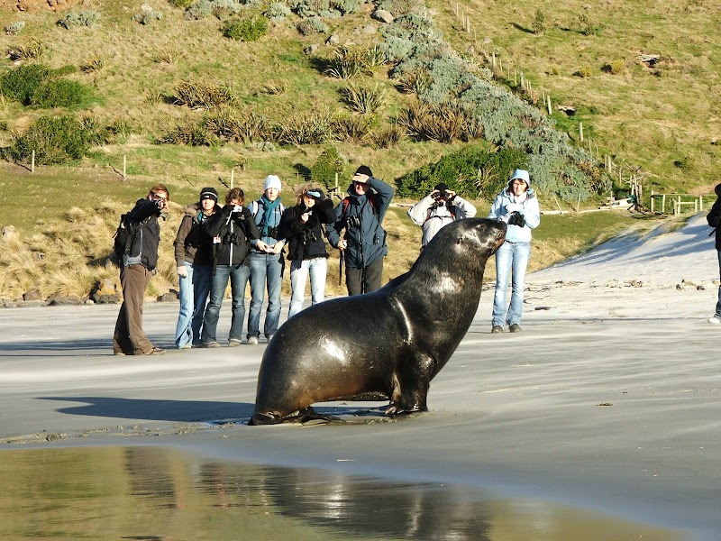 Elm Wildlife Tours