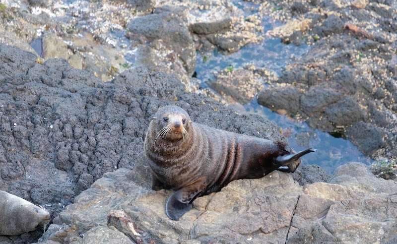 Elm Wildlife Tours photo 2