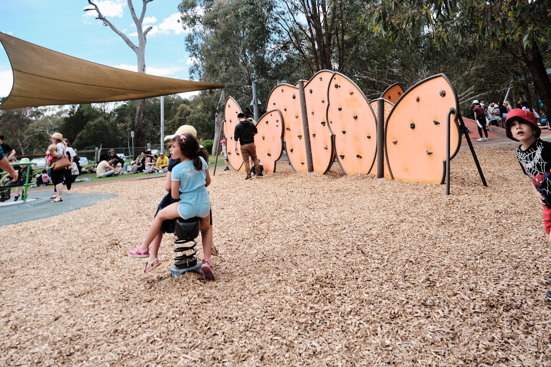 Eltham Copper Butterfly Playspace