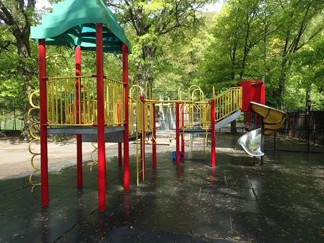 Emerson Playground