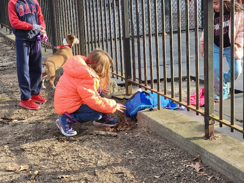 Emerson Playground photo 3