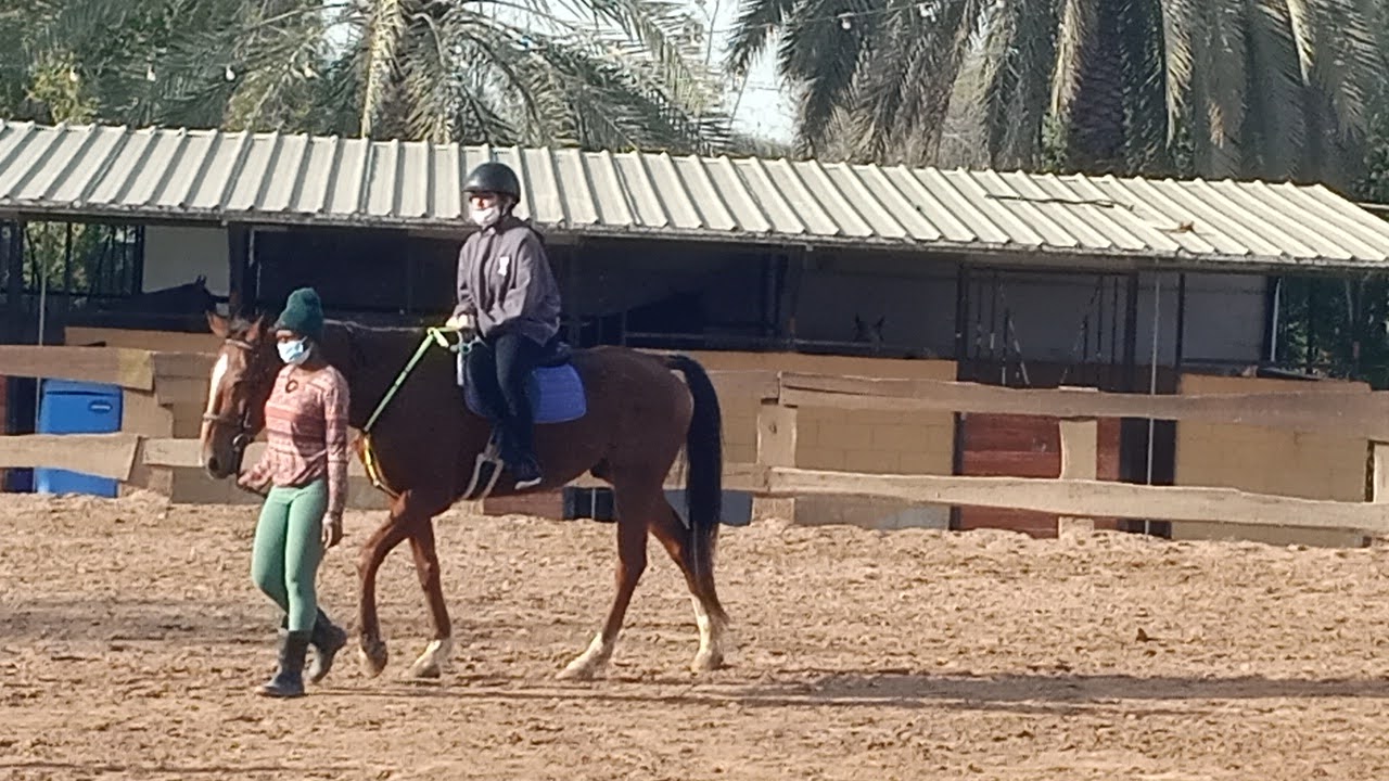 Equine Serenity photo 2