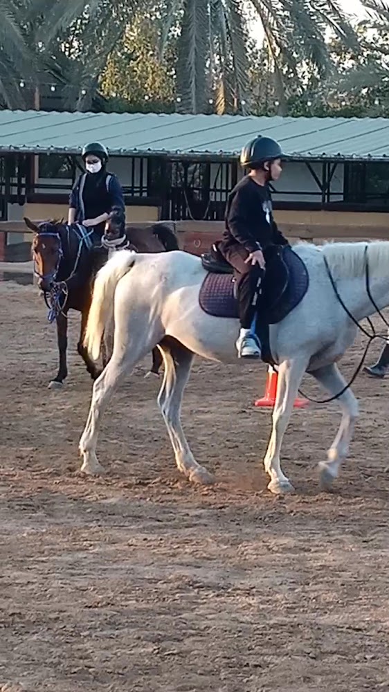 Equine Serenity photo 3