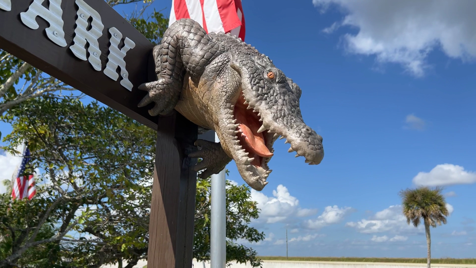 Everglades Safari Park photo 2