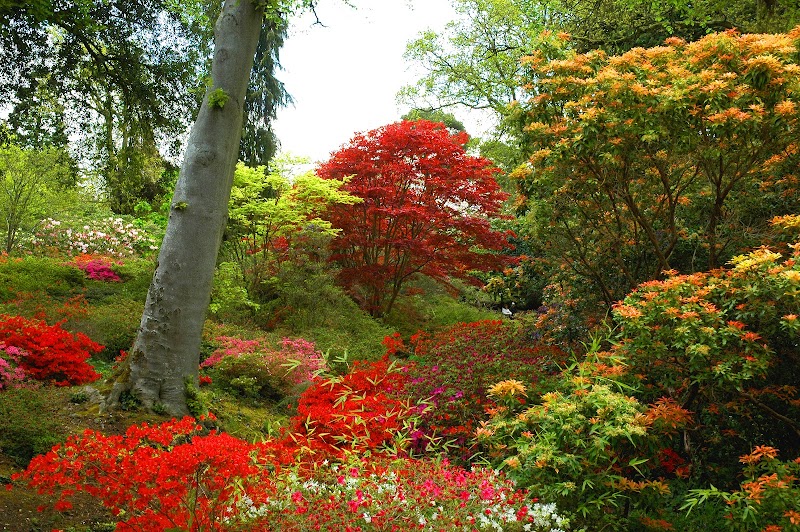 Exbury Gardens & Steam Railway photo 2