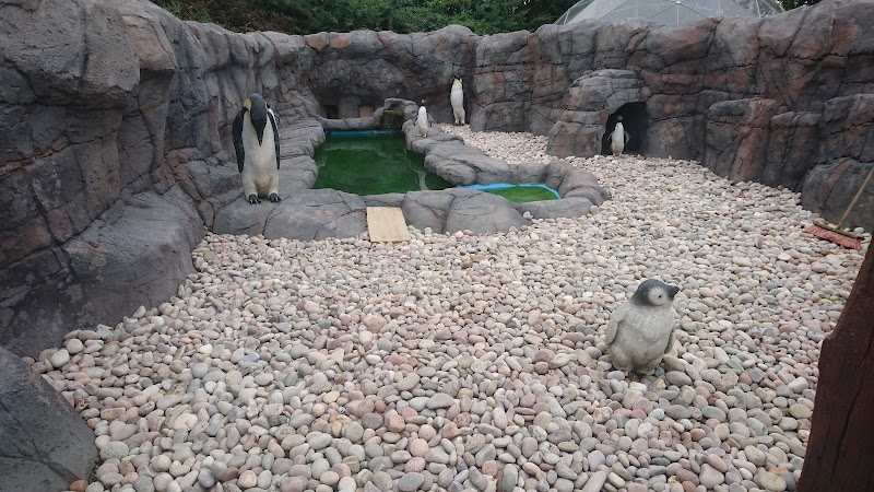 Exotic Zoo Wildlife Park photo 2