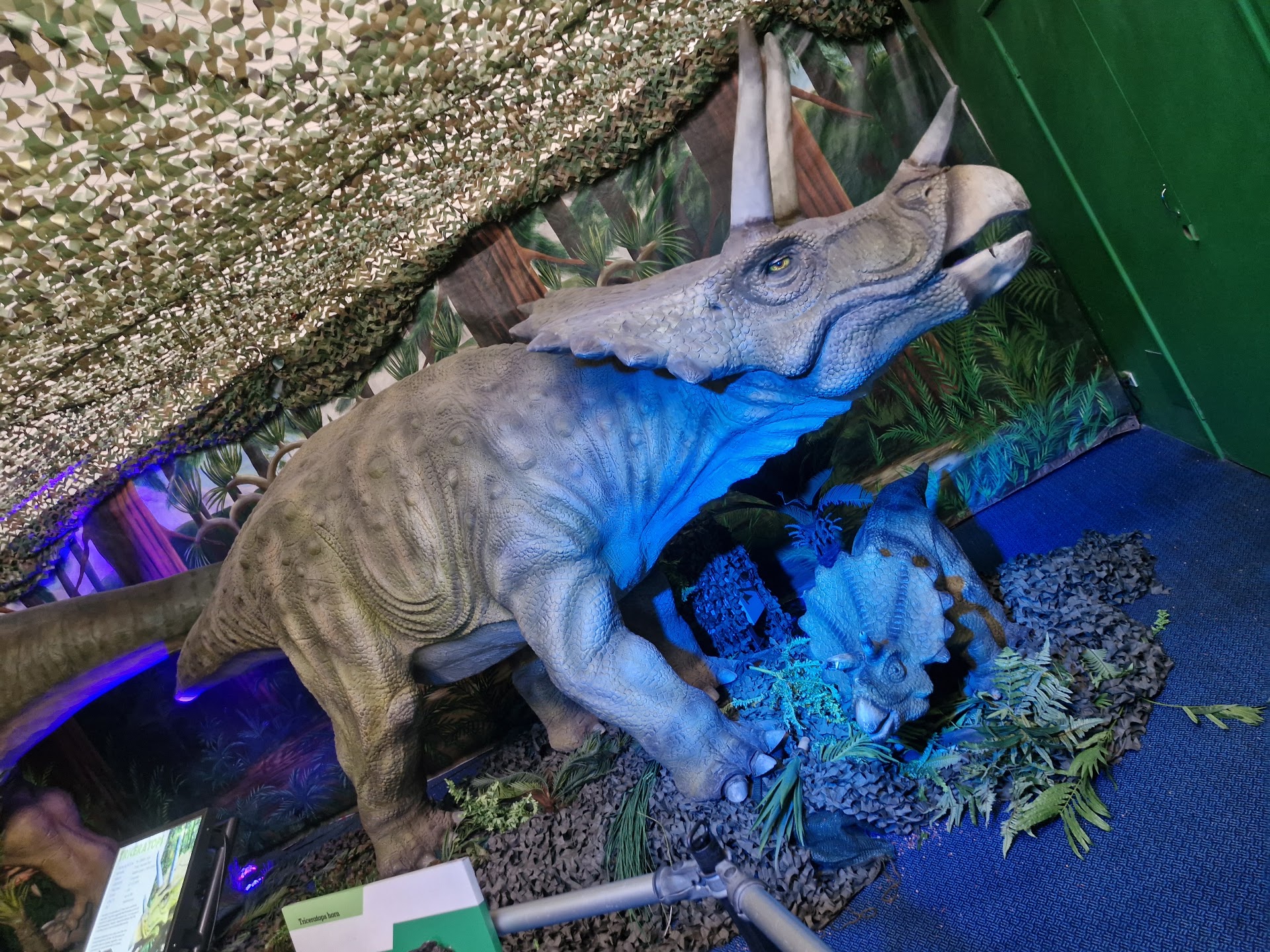 Explorasaurus photo 3