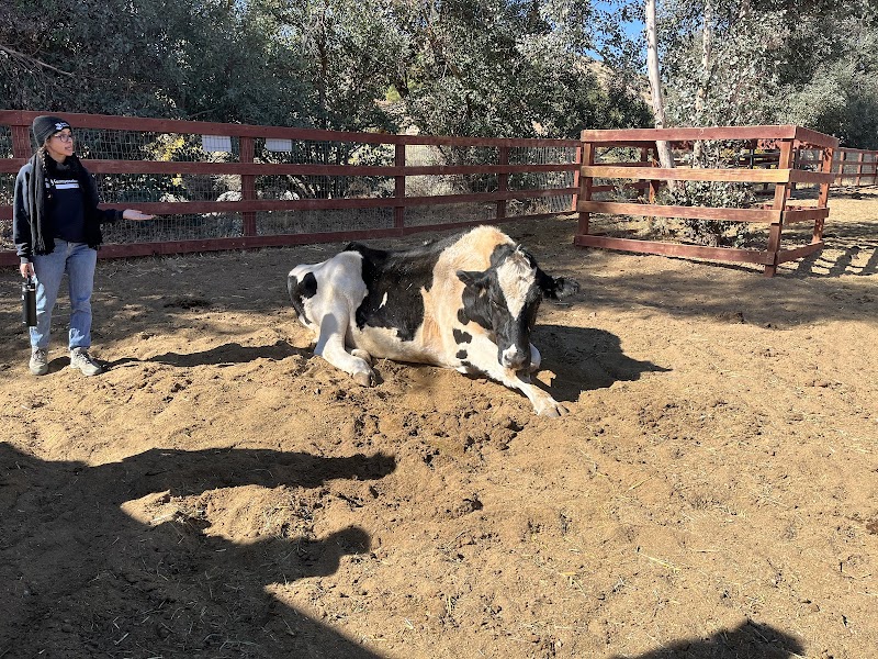 Farm Sanctuary photo 2