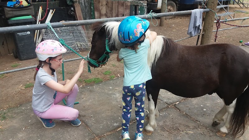 Farmyard @ Rock Creek