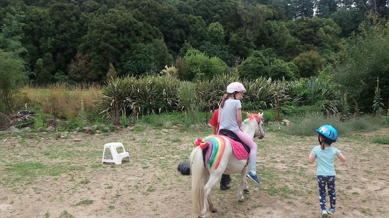 Farmyard @ Rock Creek photo 3