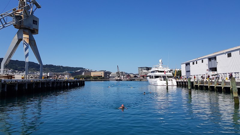 Fergs Wellington photo 2