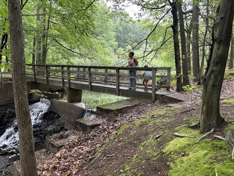 Flat Rock Brook Nature Center photo 2
