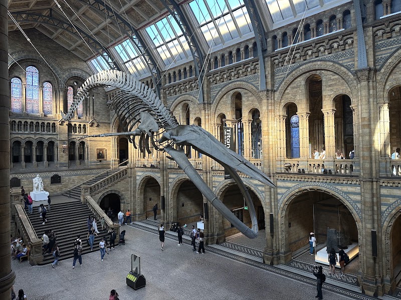 Flett Theatre, Natural History Museum