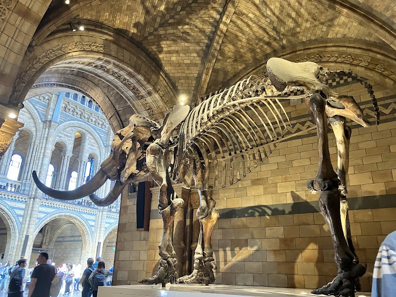 Flett Theatre, Natural History Museum photo 2