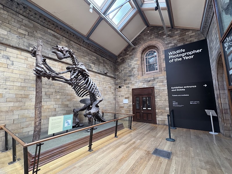 Flett Theatre, Natural History Museum photo 3